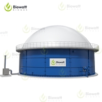 Generador de Biogás de Pequeño a Industrial y Motor de Biogás para Instalación de Proyectos de Plantas de Energía de Biogás