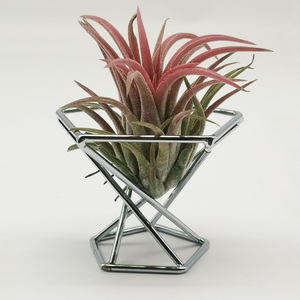 3pcs Supports de plantes à air en céramique de luxe géométriques modernes Grandes tables suspendues carrées/dessus de bureau Mini pots de jardin de luxe - Product Image 2
