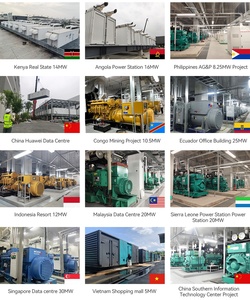 Mở Máy phát điện diesel tự động bắt đầu Hệ thống 800kva/1000kva/1500 KVA Điện dự phòng 240V/230V đánh giá cho Perkins Leroy somer - Product Image 6