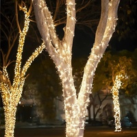 Guirnalda de Luces LED Blancas Cálidas Conectables con Cable de Goma, IP65 para Decoración Navideña, Bodas, Hoteles y Ventanas