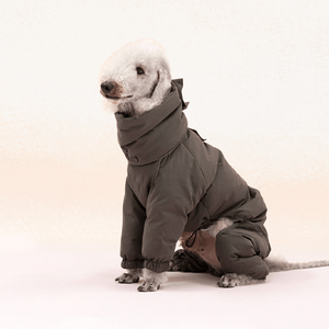 Grand Chien Manteaux Rembourré Personnalisé Pet Mode Vêtements Extérieur Amovible Col Épaisseur Luxe Hiver Chien Bouffée Veste <span class=keywords><strong>pour</strong></span> <span class=keywords><strong>Whippet</strong></span> - Product Image 5