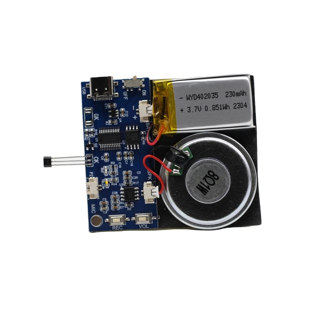 Sound Module with Magnetic Switch and 16M Memory Capacity Recordable Type C Voice Recording Module DC Input and Recording Chip