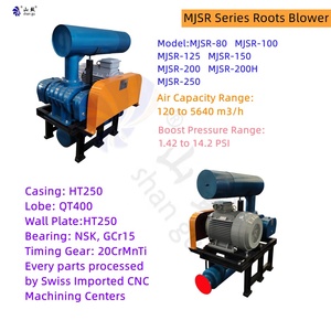 Bomba de Vacío de Alta Eficiencia y Ahorro de Espacio, sin Aceite, con Soporte OEM para Uso <span class=keywords><strong>en</strong></span> Laboratorios y Medicina - Product Image 5