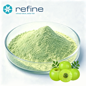 <span class=keywords><strong>Poudre</strong></span> de fruit <span class=keywords><strong>d</strong></span>'<span class=keywords><strong>Amla</strong></span> 100% pure, biologique et naturelle, directement du fabricant, <span class=keywords><strong>poudre</strong></span> de jus <span class=keywords><strong>d</strong></span>'<span class=keywords><strong>Amla</strong></span>, <span class=keywords><strong>poudre</strong></span> <span class=keywords><strong>d</strong></span>'<span class=keywords><strong>Amla</strong></span> - Product Image 1