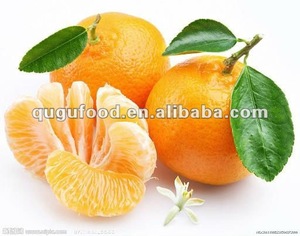 Venta al por Mayor de Naranjas Mandarinas Enlatadas en Almíbar de 11oz/15oz/29oz/90oz/105oz - Product Image 6