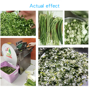 Hachoir à légumes commercial 220V, <span class=keywords><strong>broyeur</strong></span> domestique pour aliments pour volailles, coupe-herbe, déchiqueteur, <span class=keywords><strong>moteur</strong></span> comme composant principal pour l'élevage - Product Image 2