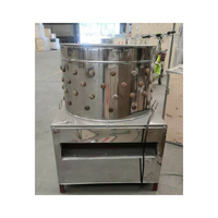 Machine automatique en acier inoxydable et en fer pour enlever les plumes d'oiseau, de dinde, de pigeon, de caille, de volaille