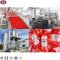 Machine de fabrication de pâte de tomate industrielle Ligne de production de pâte de tomate