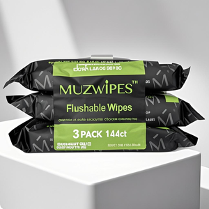 Nouvelles lingettes humides jetables pour toilettes, 48 pièces, lingettes humides pour toilettes, lingettes humides pour adultes - Product Image 2