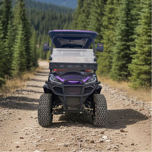 Voiture de <span class=keywords><strong>golf</strong></span> électrique tout-terrain puissante à <span class=keywords><strong>4</strong></span> places, charge rapide, design exclusif, buggy de <span class=keywords><strong>golf</strong></span> électrique <span class=keywords><strong>4</strong></span> places certifié CE - Product Image 2