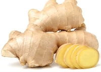 Nouvelle Saison Gingembre Chinois Frais en Gros pour l'Exportation 100g 150g 150-250g 250g et plus Gingembre Frais