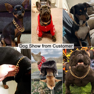 Luxe Cubaanse Link Halsbanden Zware Bully Grote Hond Keten Kraag Metalen Goud Hond Keten - Product Image 5