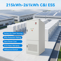 Sistema de Almacenamiento de Energía Solar Híbrido Industrial y Comercial VANYO de 125 Kw y 261 kWH, Todo en Uno, Fuera de la Red