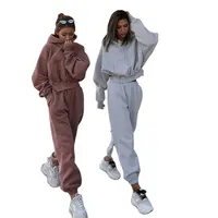 Özel güz uzun kollu Hoodie Sweatpants kadınlar bayanlar Jogger 2 parça eşofman takımı