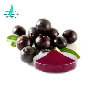 Chất lượng cao nguyên liệu Acai đóng băng bột khô Acai Berry bột