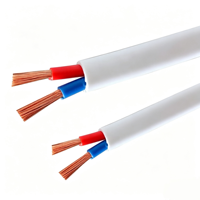 RVVB-2*1.5/2.5 mm Kupferkern-Ummantelkabel Geeignet für Hausverkabelung oder Kleine Elektrogeräte