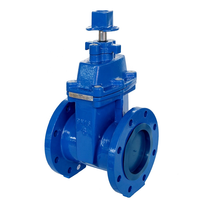 Valve de porte 200psi en fonte, avec extrémités à bride, écrou carré, livraison gratuite
