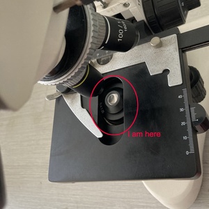 NA 1.25 Abbe Condenser 37Mm Vùng Sáng Hội Tụ Ánh Sáng Thu Thập Gương Ống Kính Quang Học Cho Kính Hiển Vi - Product Image 6