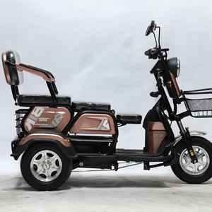 Nouveau tricycle électrique SUNYU à 3 roues, homologué pour la circulation routière en Chine, 48V, 3 places, petit scooter pour passagers, carrosserie ouverte, 30 km/h - Product Image 5