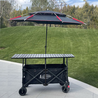 Véhicule de camping multifonctionnel pliable pour l'extérieur, véhicule portable pour marché nocturne avec auvent pare-soleil, toit personnalisable