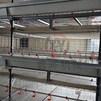 Cage à poulets de chair et pondeuses de type H entièrement automatique pour 100 000 oiseaux – Équipement d'élevage avicole