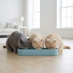 Bol d'alimentation multi-gamelles extra long de 41 cm, mangeoire ouverte à bassin unique pour chateries et chats multiples - Product Image 5