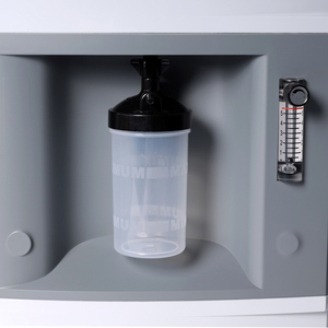 Meilleure vente haut débit 10LPM concentrateur d'oxygène de qualité médicale oxygénateur de santé Machine pour les soins à domicile - Product Image 5