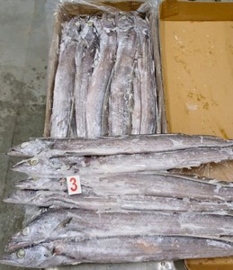 <span class=keywords><strong>Cinta</strong></span> Pescado Congelado De Buena Calidad Y Buen Precio - Product Image 4
