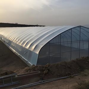 Système de gouttières NFT pour la culture de fraises commerciales, nouveau design, <span class=keywords><strong>film</strong></span> PE, couverture simple en PVC, hydroponie - Product Image 2