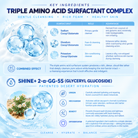 Sistem Surfaktan Asam Amino Tiga Kali Lipat Label Pribadi Glyceryl Glucoside Pembersih Wajah Penyeimbang Kelembapan
