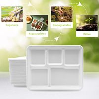 Plateau rectangulaire jetable en bagasse de canne à sucre biodégradable robuste à 5 compartiments pour la restauration rapide et les fêtes - Vente en gros