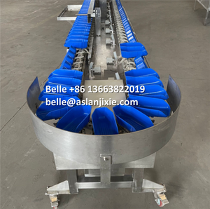 Machine de triage de poids de fruits de mer, écrevisse, cueillette de crevettes, concombre de mer, calmar, équipement de pesage - Product Image 2