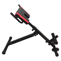 Banc de fitness à structure métallique durable pour la maison, entraînement abdominal, renforcement du corps entier, chaise romaine
