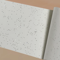 Film de plafond tendu rétroéclairé en PVC de 3,2 m pour showroom de vente au détail - Prix usine