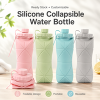 Botol Air Silikon Teleskopik Lipat dengan Tutup Tombol Tekan, Tahan Bocor, Aman untuk Mesin Cuci Piring, Gaya Kuno, Portabel untuk Perjalanan