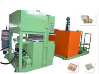 Máquina de producción de línea de bandeja de huevos, moldeado de pulpa de papel, para uso agrícola, negocios de fabricación pequeños