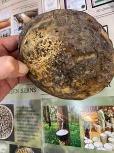 Vietnature Vietnam Brown Natural <b>Rubber</b> High Elasticity Wear Resistant Aging Resistant Molding Grade 50kg/bag for <b>Automotive</b> - Product Image 2