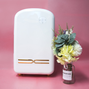 Intelligent Constant Temperature Control Mini Fridge for Makeup Storage, Professional Fridge for Skin Care