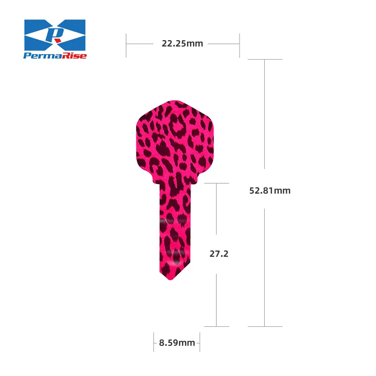 High-Quality Printed Blank Key With Various Designs color key blank Aluminum alloy key