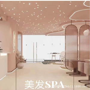 Starry Sky Ceiling Light Fiber Optic Pendant Led Living Room Home Use Translucent Light Suspended Hardwired Switch Control - Product Image 3