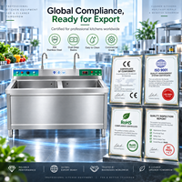 Évier commercial pour la préparation des aliments avec fonction de lavage de la vaisselle et des produits pour les distributeurs de cuisines centralisées