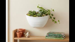 Maceta Moderna Autoadhesiva de Polipropileno Plástico para Colgar en la Pared, para Uso en Centros Comerciales y Jardines Domésticos, Embalaje en Cartón - Product Image 4