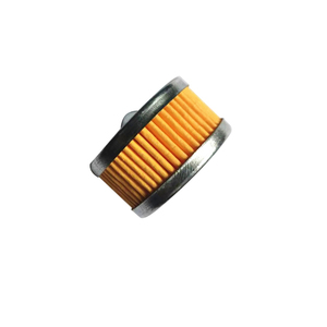Filtro para Kit de reparación de reductor AT09 Kit de conversión Cng Kit para motor diésel LPG <span class=keywords><strong>Autogas</strong></span> Filter Cng <span class=keywords><strong>Glp</strong></span> - Product Image 2