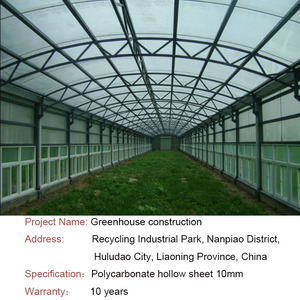 Paneles huecos de <span class=keywords><strong>policarbonato</strong></span> duraderos utilizados en perfecto <span class=keywords><strong>para</strong></span> Cubiertas de piscinas y techos de invernadero - Product Image 3