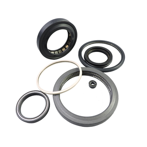 <span class=keywords><strong>Joint</strong></span> d'étanchéité hydraulique à ressort en PTFE/UHMWPE/PEEK - Product Image 2
