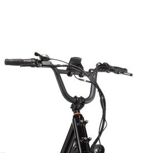 Bicicleta Eléctrica de Carga de Alta Calidad en Oferta, 48V 750W, 1x7 Velocidades, Cuadro de Aluminio, Bielas de 170mm, Bicicleta de Carga de Cola Larga - Product Image 3