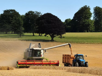 Machines agricoles chinoises, moissonneuse-batteuse combinée de riz et de blé, récolte de canne à sucre