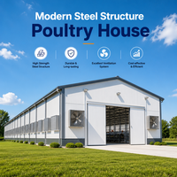 Bâtiment commercial moderne en structure acier préfabriquée pour élevage de poulets de chair, conception de poulailler automatique à vendre