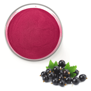 Fabriek Levering Zwarte Bes Zwarte Bes Fruit Poeder Zwarte Bes Poeder - Product Image 1