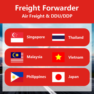 Agente de Carga Marítima, Transporte Marítimo Internacional de <span class=keywords><strong>Hong</strong></span> <span class=keywords><strong>Kong</strong></span> a Singapur, Logística DDP, Precios Competitivos, Entrega Rápida, LCL + Express - Product Image 5